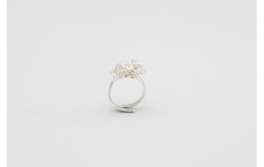 όstraka ring 561094